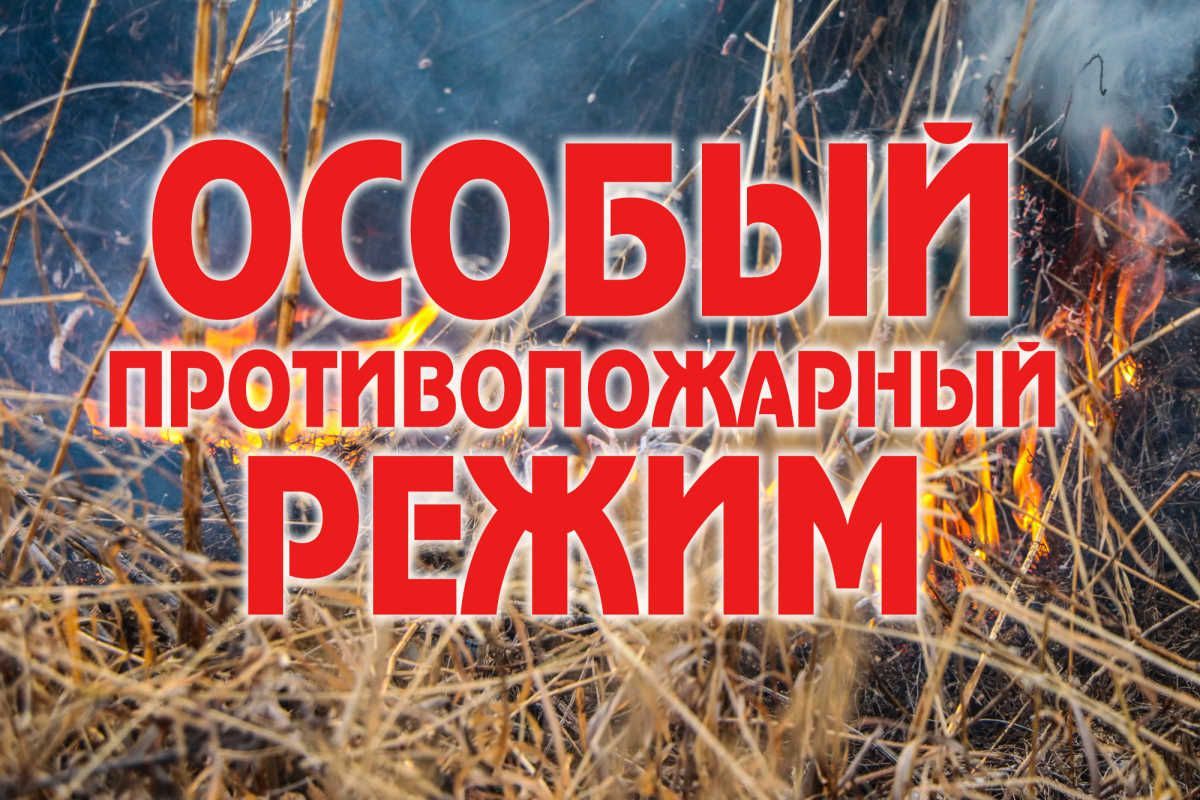 В Кировской области установлен особый противопожарный режим.